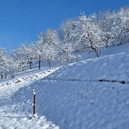 Alyanna Βίλα Rankovici